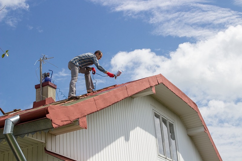 Roof Painting