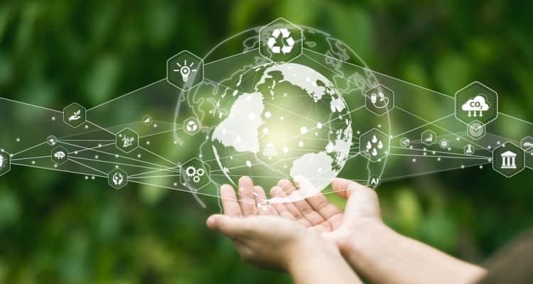 Social media policies in the workplace - Business Division
